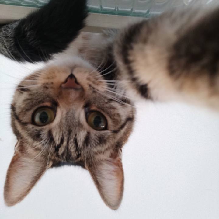 15dd8f48 1fea 4b5b 836c b65c276fed46 1672881145585