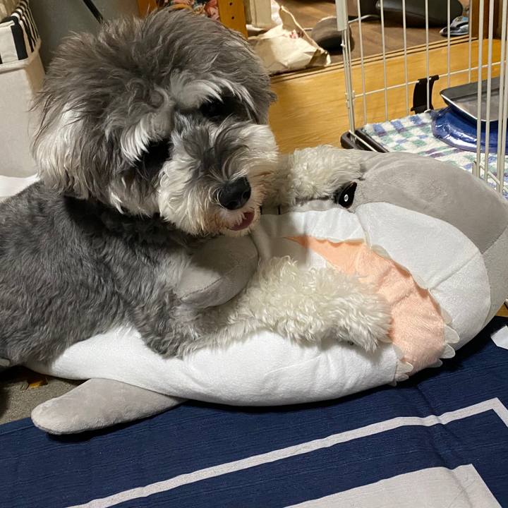 15dd9fb1 8a6b 4de5 b119 1a9fff125c04 1599400690083