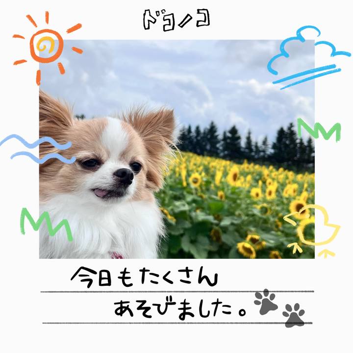 15ddbbf2 9e58 4666 bf3d 0904a48626f5 1755164612331
