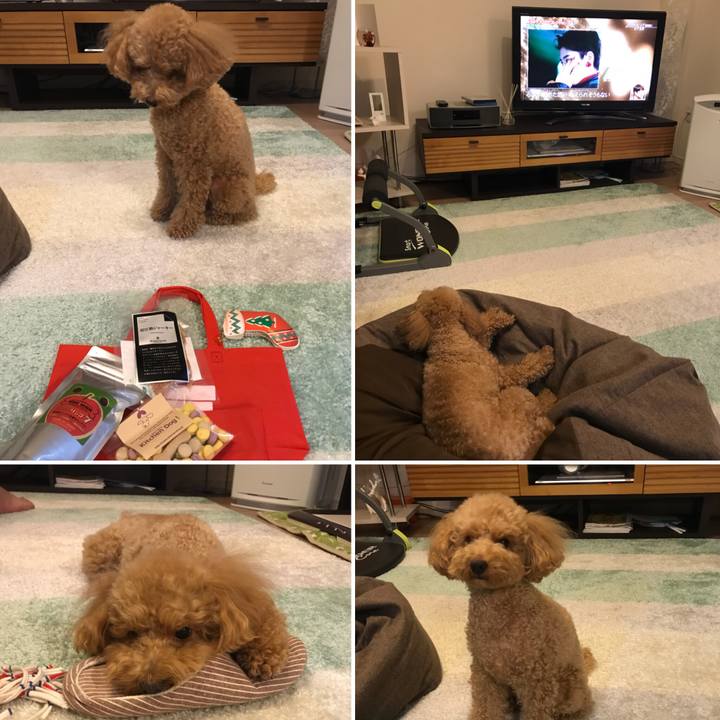 15ddfac4 0eda 4a78 b163 e741988ed07f 1514211055317