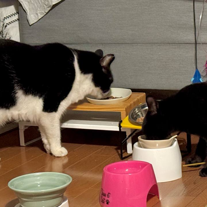 15de326f 4459 4f65 8946 d1bc26cf5489 1739701235033