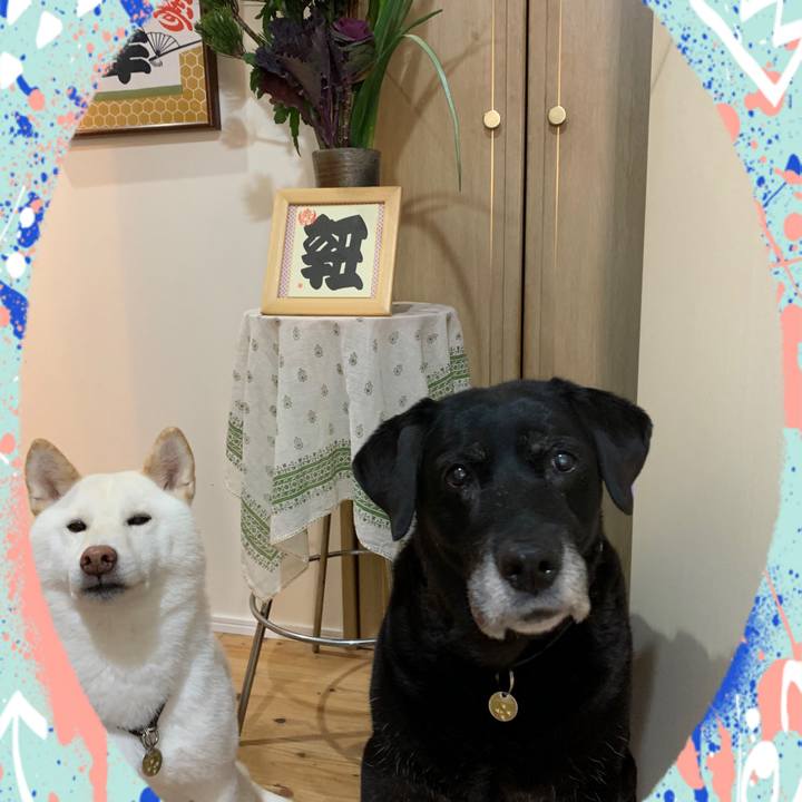 15de3d1a 839f 4f9a add3 0d3e633cb134 1609454912160