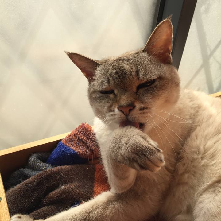 15de415c d705 47b8 b9a1 7719b43d144f 1548215531260