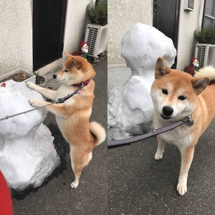 15de57e5 8898 48cd 9e77 38ad3e7a3f8a 1517113295649