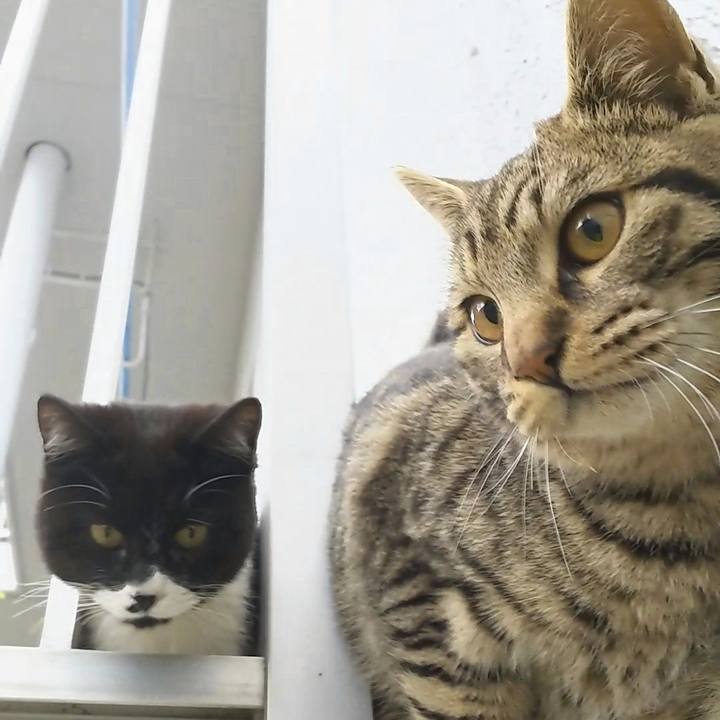 15de5af8 0d71 48bb ba72 3acd9a381060 1552465168133