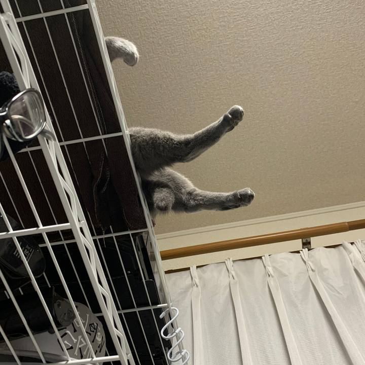 15de7dc9 7dee 4230 81fe ce8cc5acd2b3 1612679709603