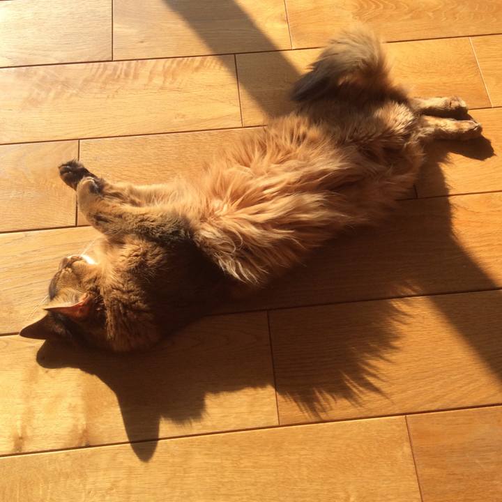 15de7eca 791c 4a51 bcbd d41f064b1036 1643332470625