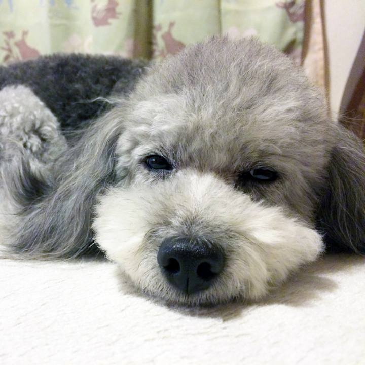 15de83ef d500 4188 b829 3e77cd44754a 1763376202778