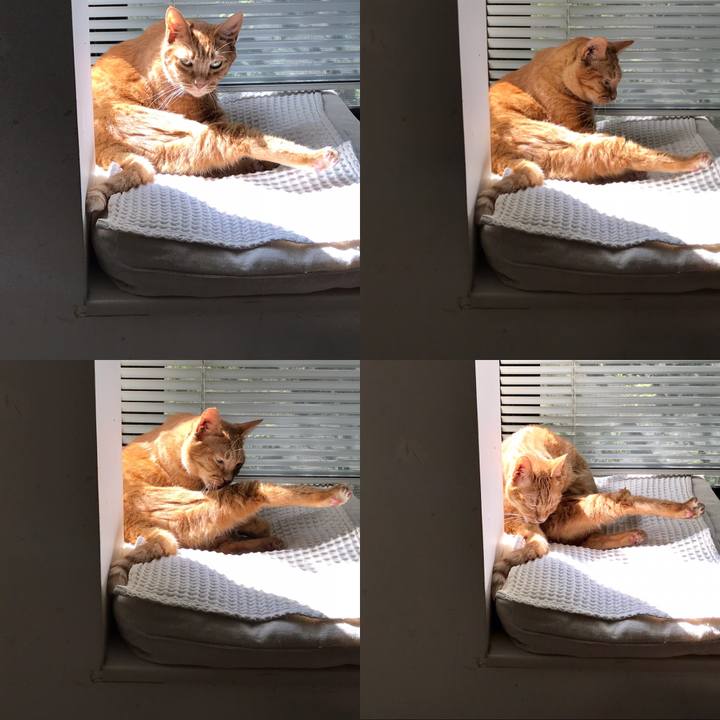 15de8590 3494 432a 88f3 df37f0aa8c2f 1599476948005