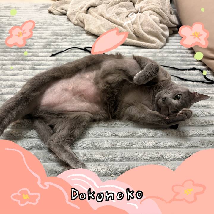 15de9949 662b 4a02 a2ec 516ded9f73b1 1775305947510