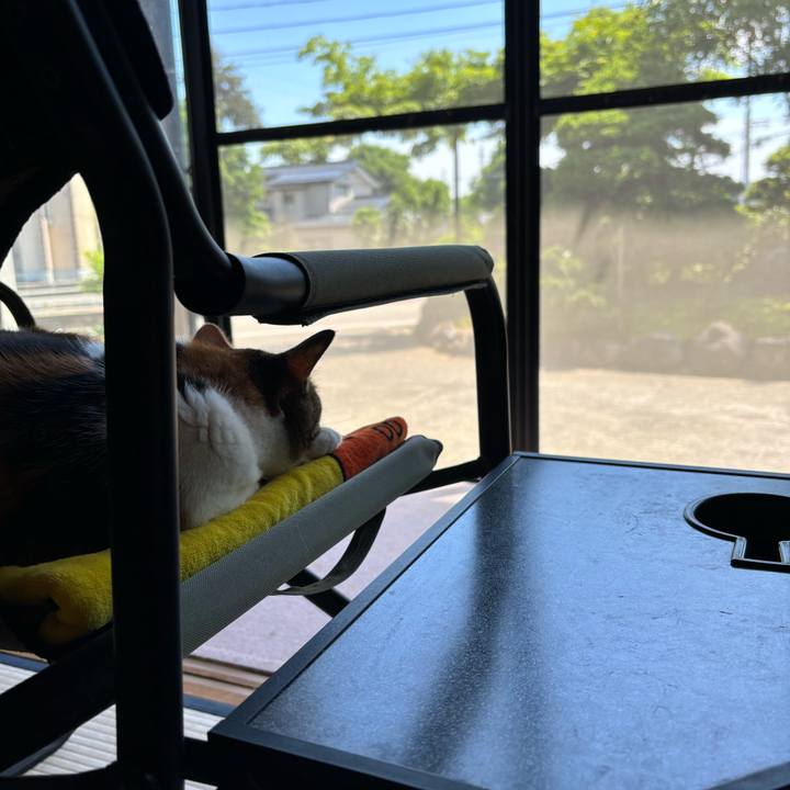 15dea845 1e72 4153 9859 07d50b0d0d9e 1716351109148