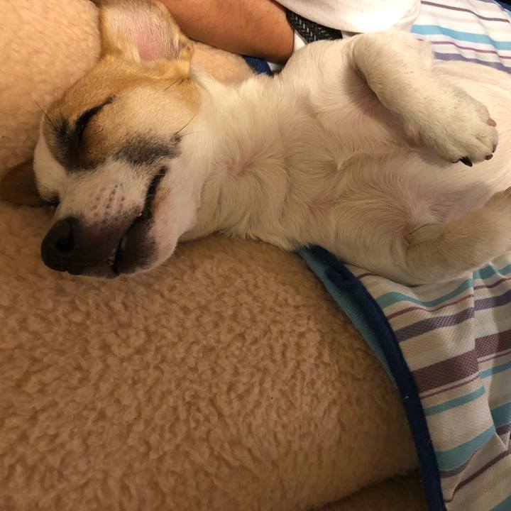 15debcaf c207 4077 88e0 36e6bdde06e0 1560342960644