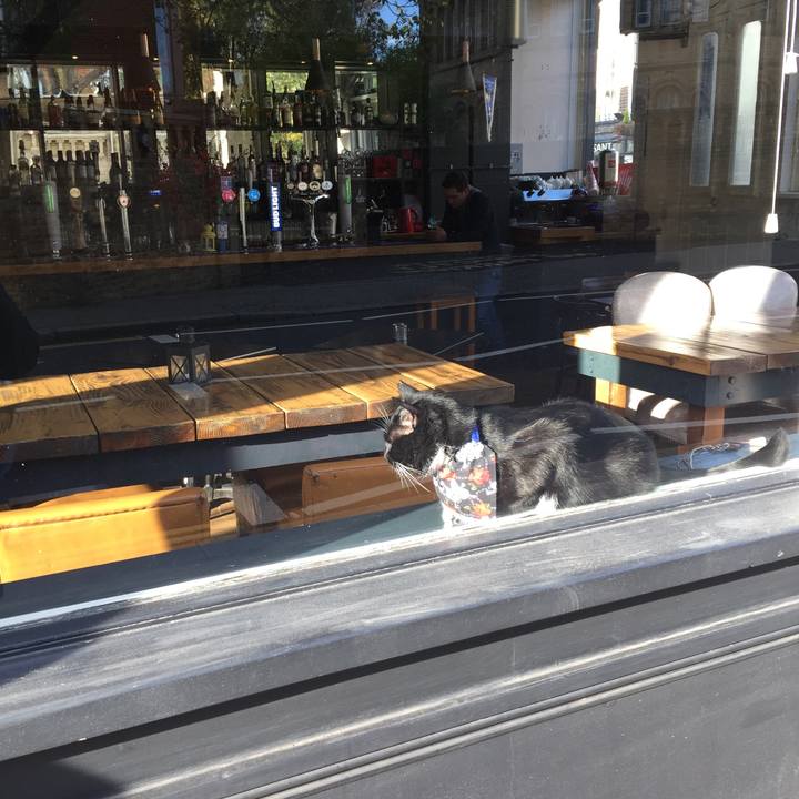 15debcd5 3fdc 475c 9117 ad201515703b 1511131288487