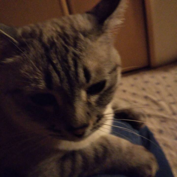 15ded180 4fa5 4962 87ff 8b17ffdb8faf 1530789410703