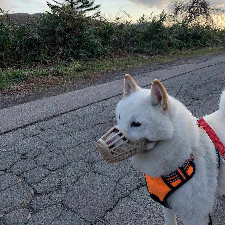 15defb25 f17e 4a94 b073 e40fccfb2624 1618004630593