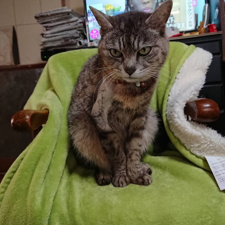 15df061e f19f 4add 9fb4 090a0d314dd6 1589234172591