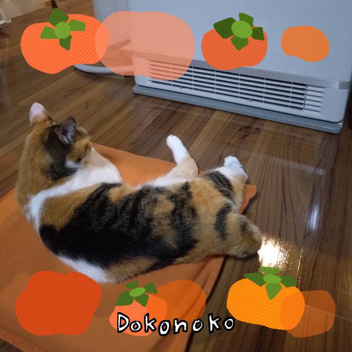 15df1b2a 106f 4439 a7ee 247470dee2e7 1762167619780