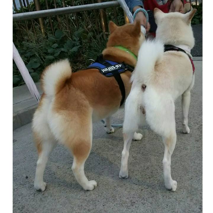 15df1f3b f6eb 4663 adf9 a7130725cc17 1539163581756