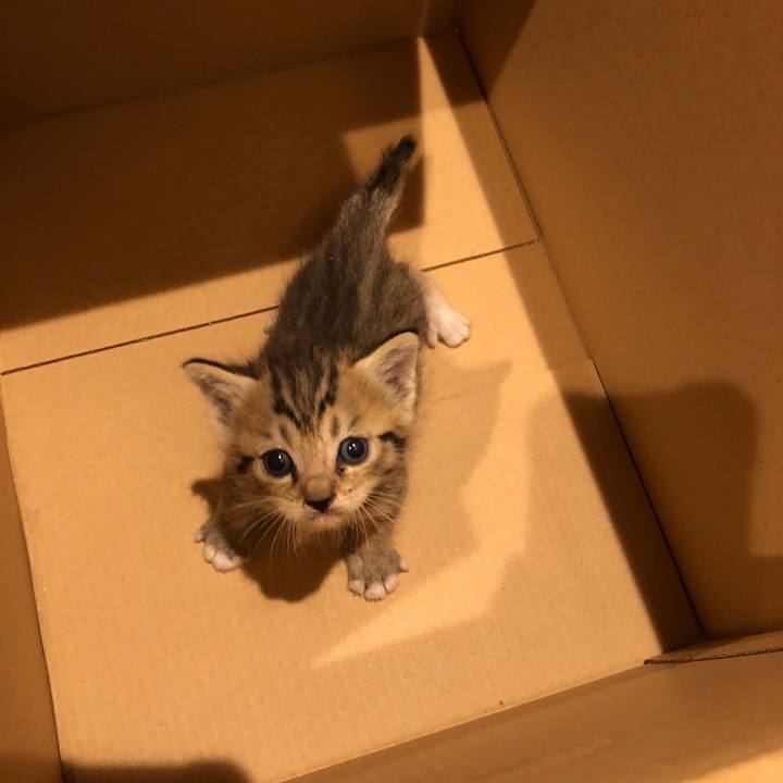 15df4fd6 6211 4220 bcab 8f6f9f65c1b4 1539371178378