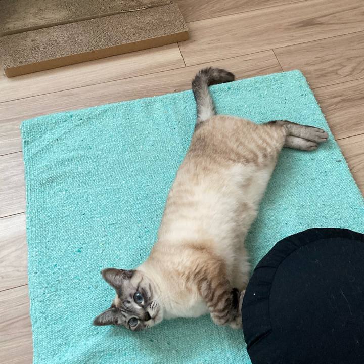 15df556b af49 4914 8c83 bb9bf68f40b0 1647476634333