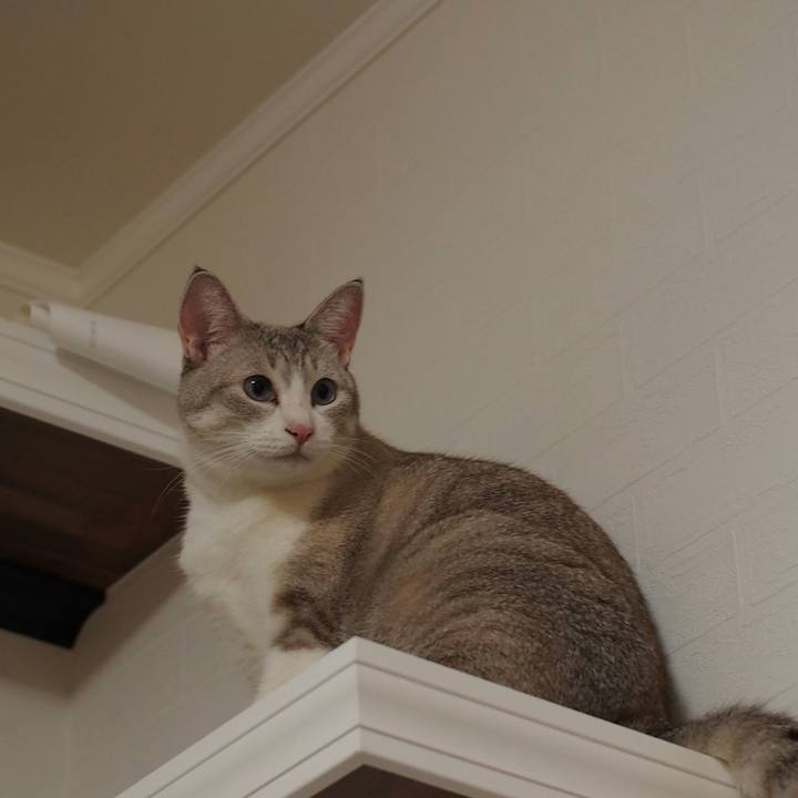 15df5621 6bed 4fc3 a2cb 85575f3cb5da 1538577738283