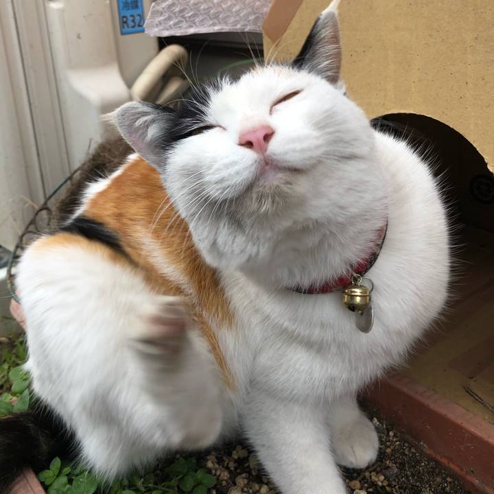 15df58e9 7bcb 40db 84ad 8d13f634e08e 1609634297875