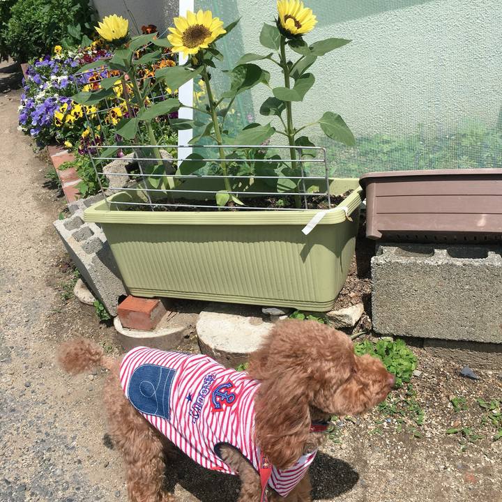 15df8072 7500 4cc9 b58a a6cd2c5c2ddc 1526783082977