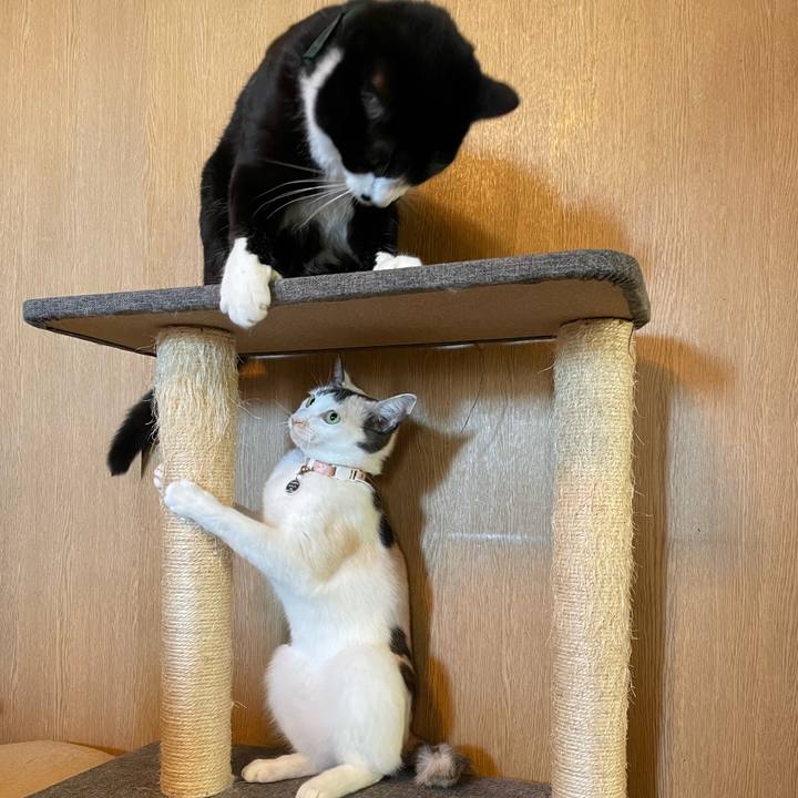 15df94f1 7d70 4702 8765 f56922f3094d 1732931957872