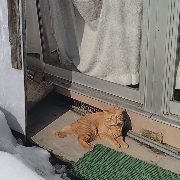 15df960c b52a 4143 8873 37eaf6333739 1676687885165