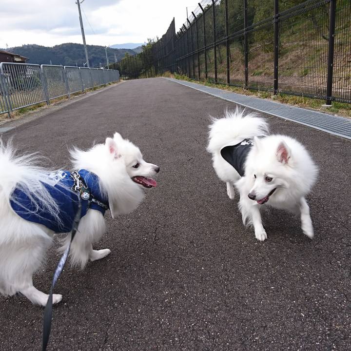 15dfa098 fc7a 4535 959c e91ca1873bf4 1578112414427