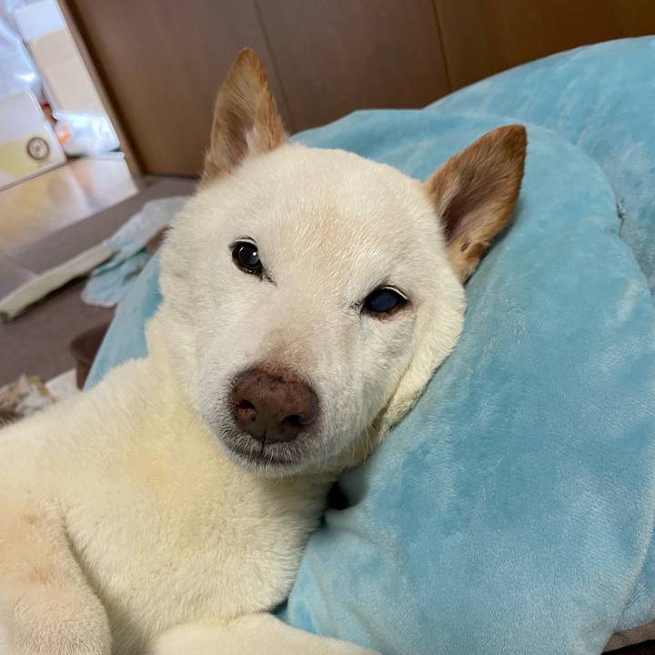 15dfb032 23b9 49c2 9e65 ff3f9f4349e3 1659942288868