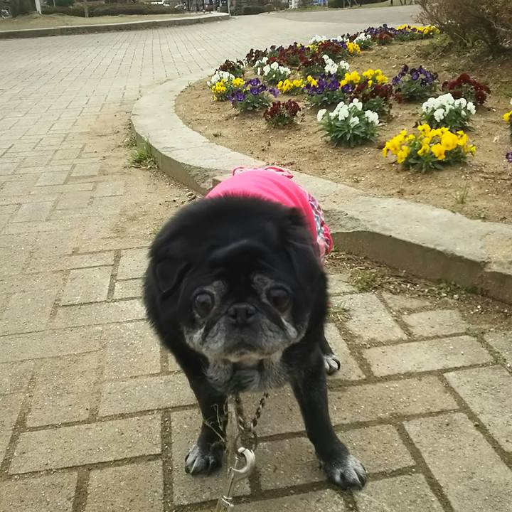 15dff516 b234 4049 8f1a b1ac0eed52cd 1522905847376