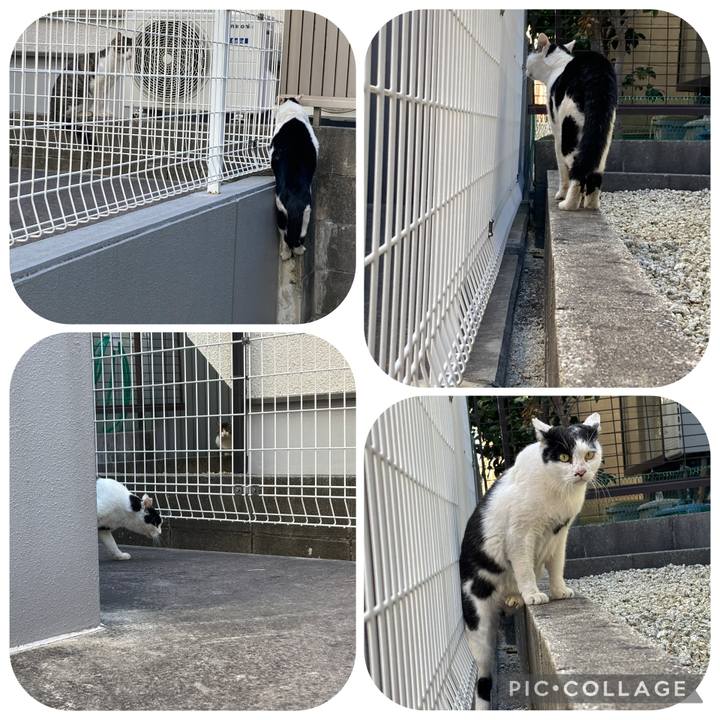 15e00638 c578 4558 8c9c 7c0ea0d79c45 1763610010621