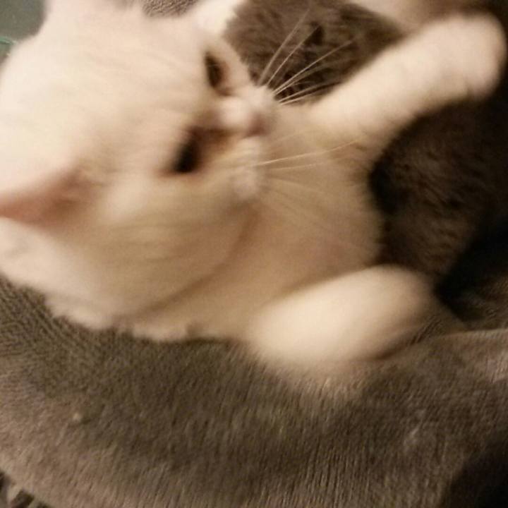 15e00ee6 2516 41b0 abd2 8f8667e012dd 1551351760258