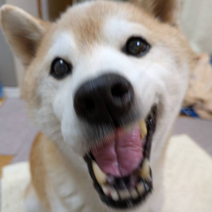 15e035be a597 4733 b58f 4204d83b77b8 1768739431604