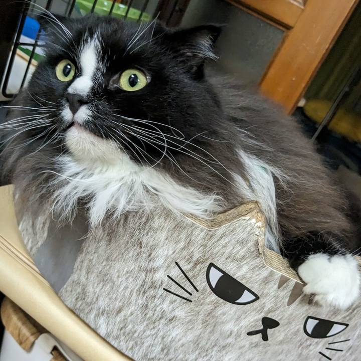 15e08b16 7dea 4f0a a826 90884adca026 1694173487298