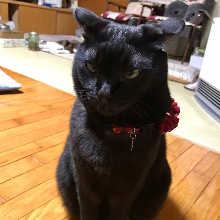 15e0bcb4 6c6a 4298 9409 ea4e56e9b5bf 1542111704403