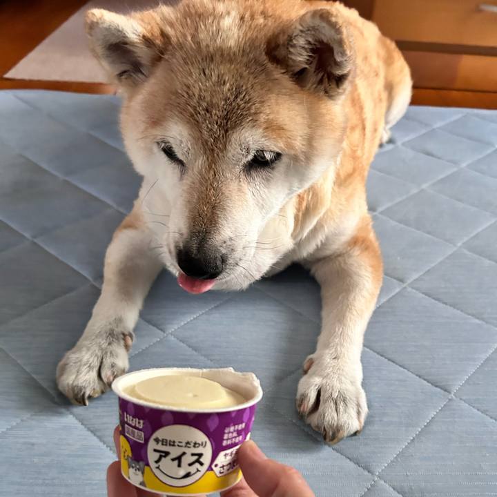 15e16be1 cbb7 4df8 aada bedd4ff97032 1752398180297