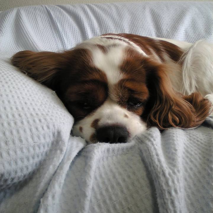 15e17fd6 b770 4faa a7ce 1bcc320b8bfb 1513082313540