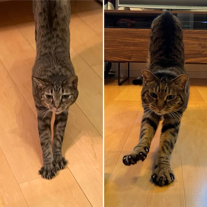 15e1890a e09a 42dd ac90 2d79db544756 1763157652941