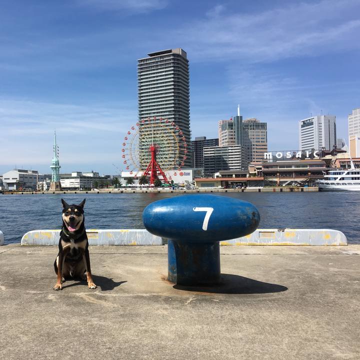 15e1aa92 a959 4f18 814c bae4a8f6e073 1529203249234