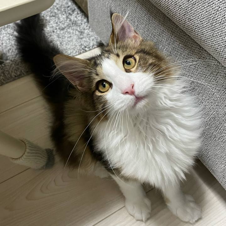 15e1da74 eed0 407d ae39 bba1968cfa98 1636748792454