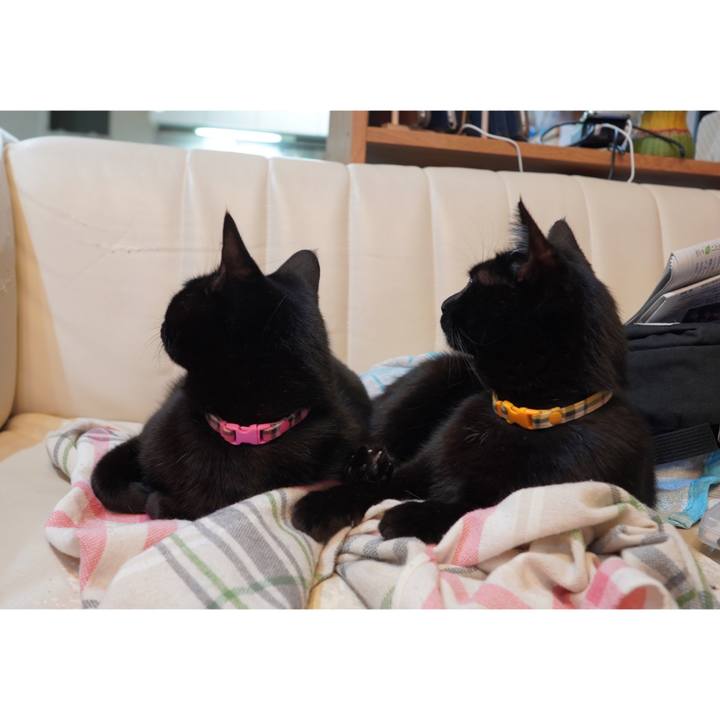 15e1fe8c 7cbd 4d66 afb4 884735f9ff6d 1605849346337