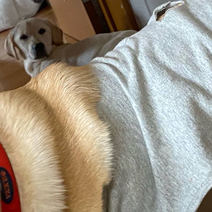 15e20473 67df 410d 9a39 a87318fa670f 1618662637618