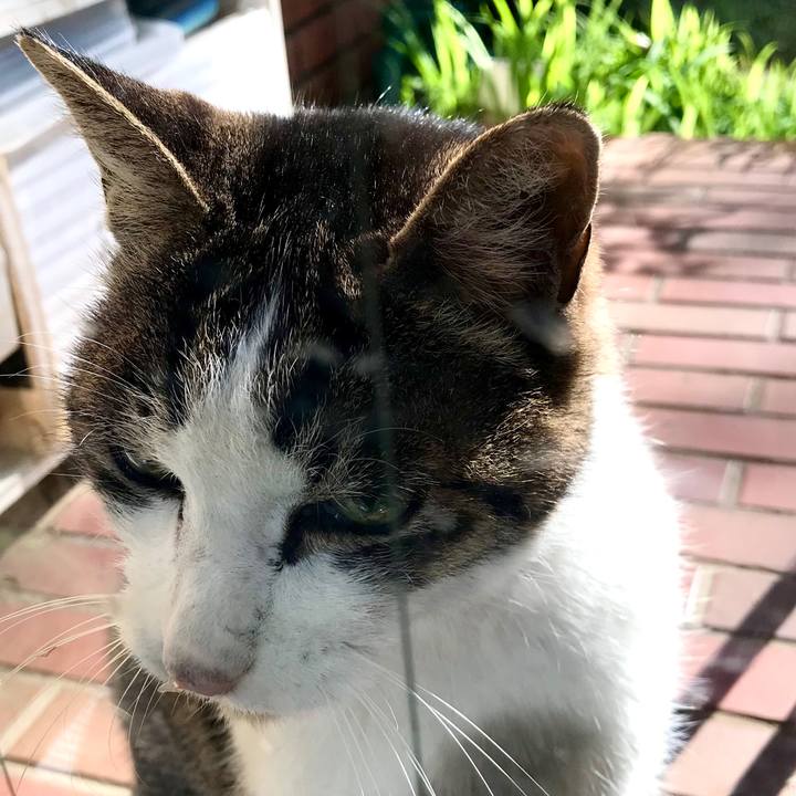 15e206b0 6241 40f8 af15 249ae762bcf9 1576378010912