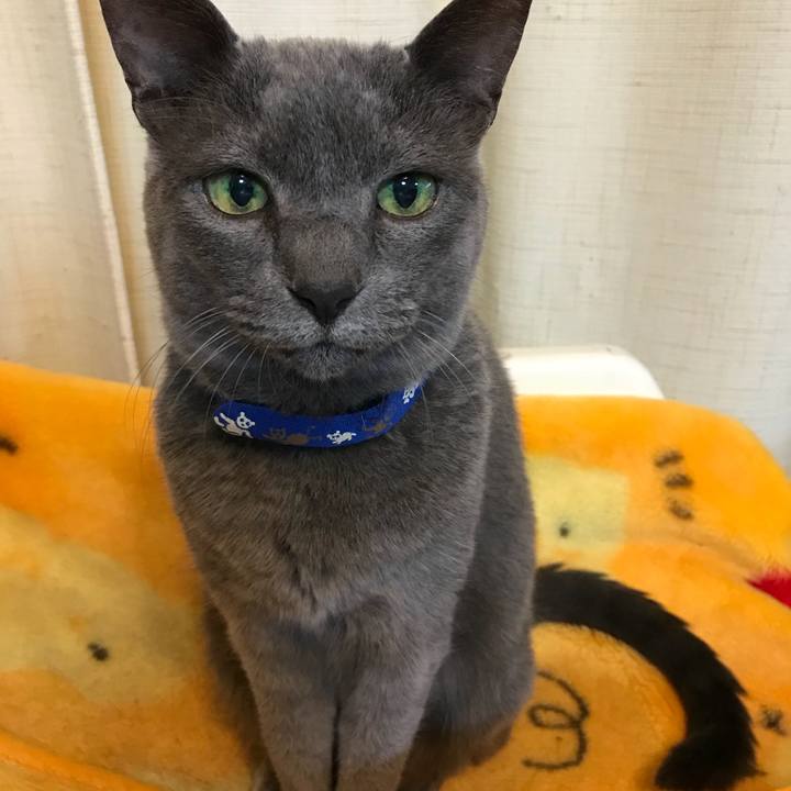 15e209dd 703f 4c71 851e 0ef04dc2949f 1525321148055