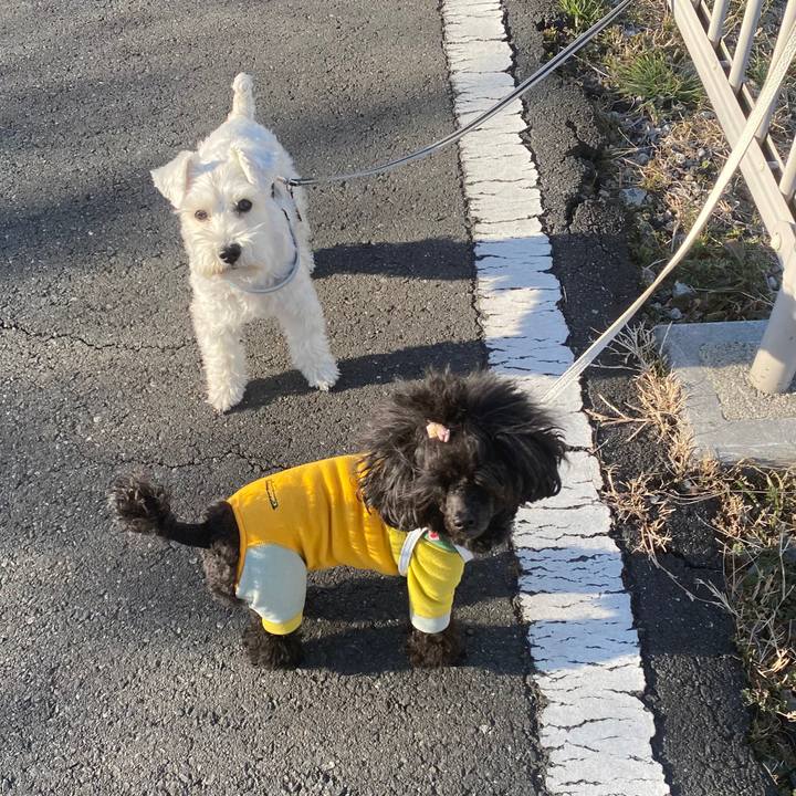 15e225e9 ddd5 4131 b239 a1781dcd9b6a 1643072811624