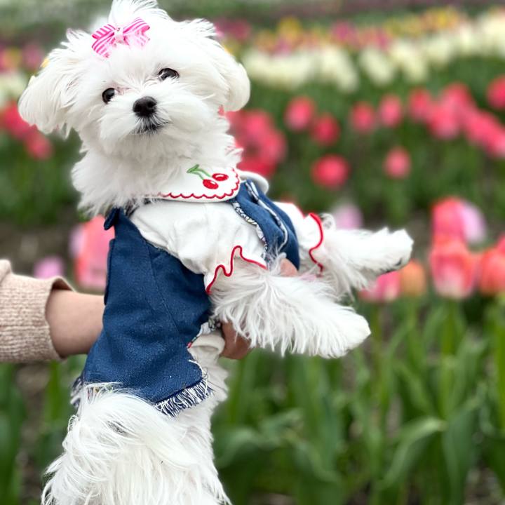 15e252b8 a82e 4300 85a1 de4952b8fab0 1712445623316