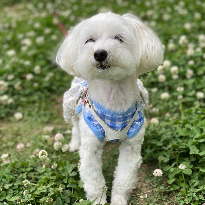 15e29365 c259 4fa4 a97f 2f5de24914c9 1591344617651