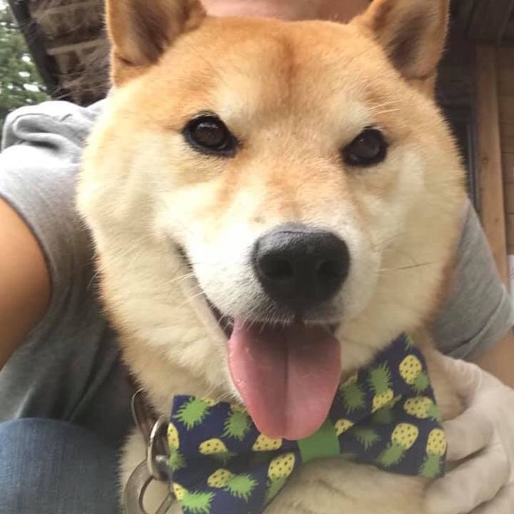 15e2b76d a30a 4679 807c 098209dac659 1570577560394